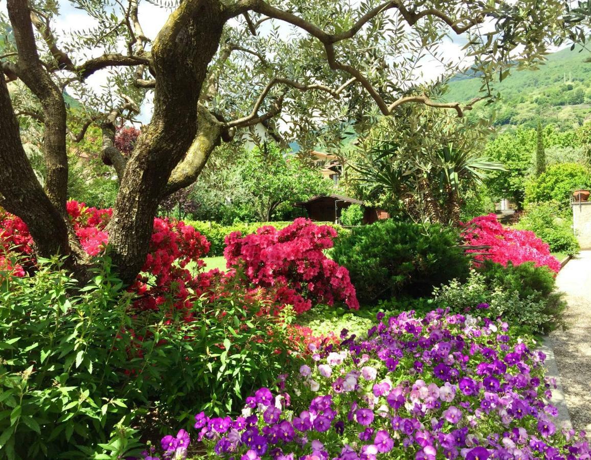 דונגו Iris 2 Lago Di Como מראה חיצוני תמונה