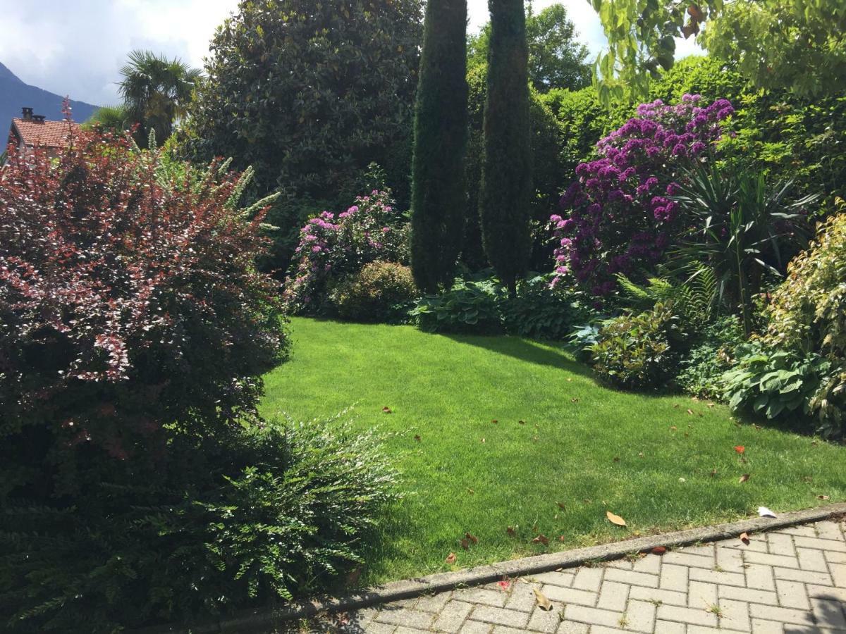 דונגו Iris 2 Lago Di Como מראה חיצוני תמונה
