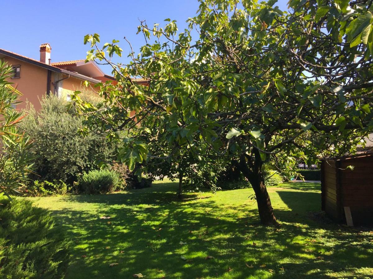 דונגו Iris 2 Lago Di Como מראה חיצוני תמונה