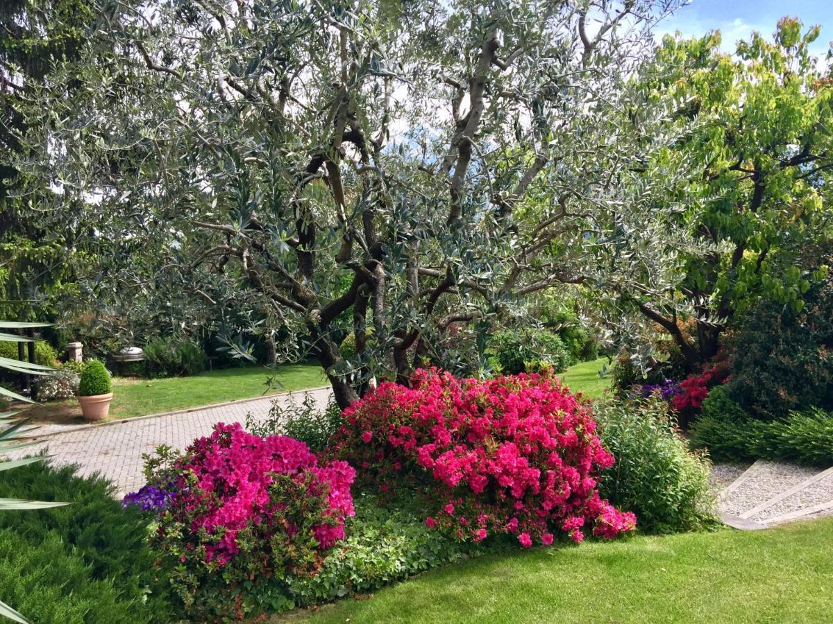 דונגו Iris 2 Lago Di Como מראה חיצוני תמונה